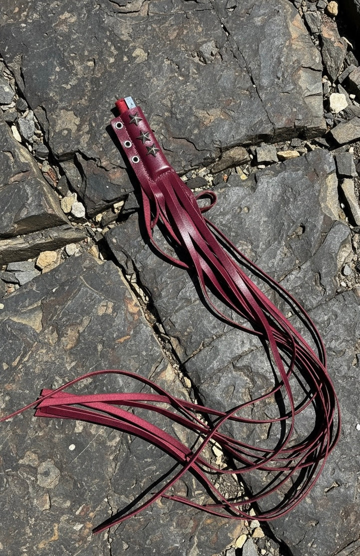 Red leather whip on a rocky surface