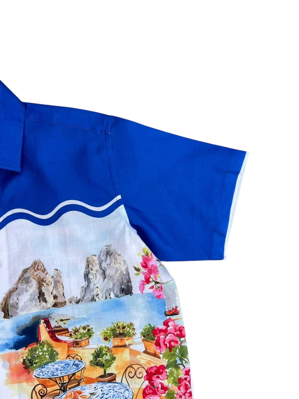 Royal Blue Italian Scenic Print Cotton Shirt